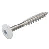 4.8x25 mm Trespaaschroef RAL 9010 100 stuks
