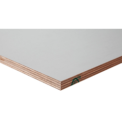 Garantieplaat 125x250 cm dikte 12 mm gegrond