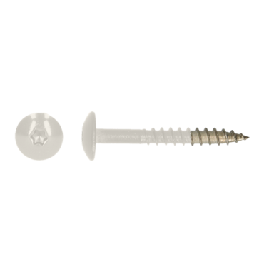 Platbolkopschroef HPL 4,8x25mm 9010 RVS 100 st