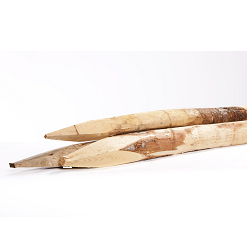 Kastanjehouten paal 100x100 mm lengte 200 cm (bestelartikel)