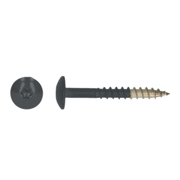 Platkopschroef HPL Tx20 4,8x38 R9005 A4 100 stuks