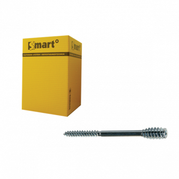 Afstandschroef T-drive T25 * 6x100 Zn (20) verpakt per 50 stuks