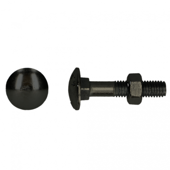 Slotbout 4.8 DIN 603/555 M6x40 BT/6st zwart