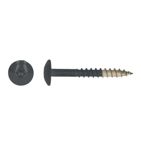 Platbolkopschroef HPL * 4,8x 38 mm 7016 antraciet RVS (A2) verpakt per 100 stuks