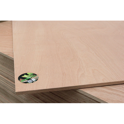 Multiplex 122x244 cm dikte 5.5 mm