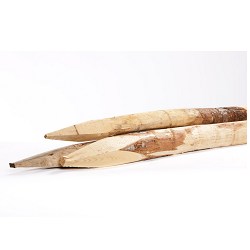 Ø 80/100 mm Kastanje paal lengte 160 cm