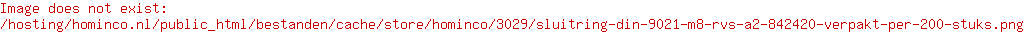 Sluitring Din 9021 RVS