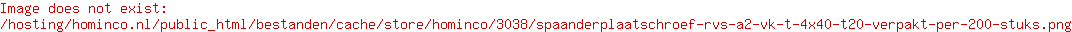 Spaanplaatschroef RVS