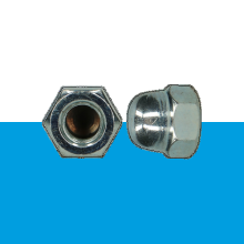 Zeskant dopmoer Din 1587 M12 Zn 100st