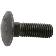 Slotbout 4.8 DIN 603/555 M6x60 zwart