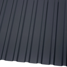 Damwand antraciet 110x300 cm hoogte 20 mm (bestelartikel)